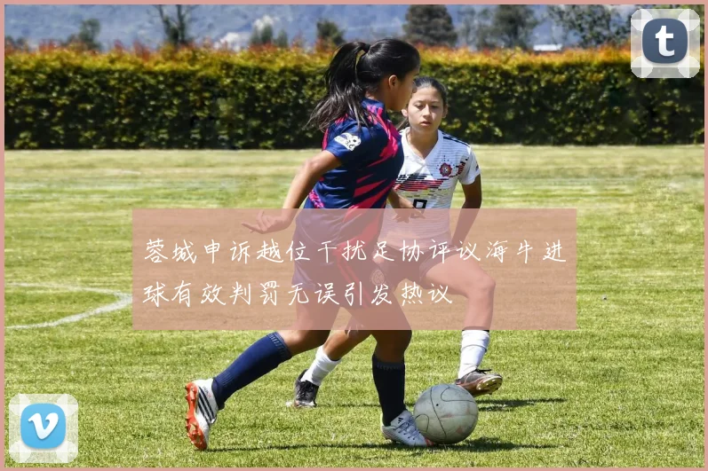 蓉城申诉越位干扰足协评议海牛进球有效判罚无误引发热议