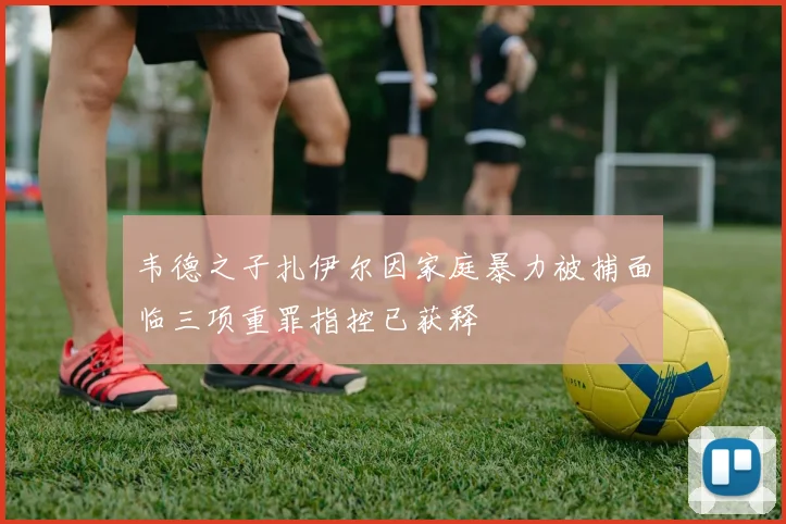 韦德之子扎伊尔因家庭暴力被捕面临三项重罪指控已获释