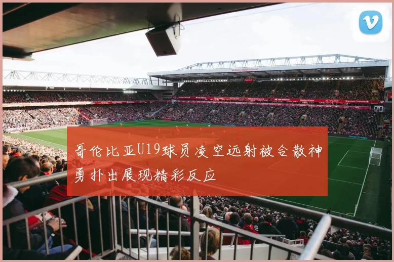哥伦比亚U19球员凌空远射被合散神勇扑出展现精彩反应